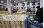 卡游哪吒系列卡牌热卖国潮跨界玩出新高度P
